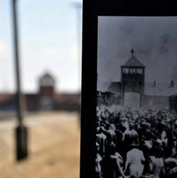 Miejsce Pamięci i Muzeum Auschwitz-Birkenau, Oświęcim godziny otwarcia