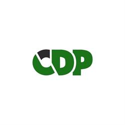 Kancelaria Biegłych Rewidentów CDP, Gorzów Wielkopolski godziny otwarcia
