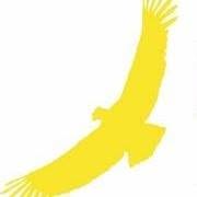 Condor Polska. Sp. Z O.o., Luboń godziny otwarcia