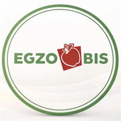 Egzo. S.j., Nowe Miasto nad Pilicą godziny otwarcia