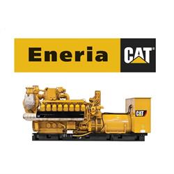 Eneria - Autoryzowany dealer Caterpillar, Izabelin-Dziekanówek godziny otwarcia