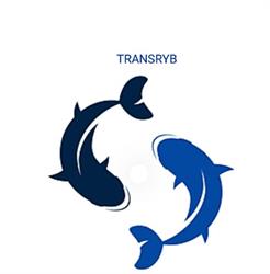 Transryb. Sp.j., Chełm godziny otwarcia