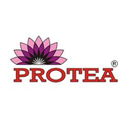 Protea. Sp. Z O.o., Gdańsk godziny otwarcia