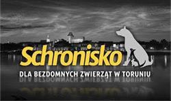 Miejskie Schronisko dla Zwierząt, Toruń godziny otwarcia