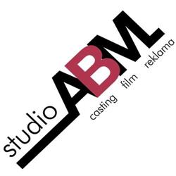 Abm Studio. Sp. Z O.o., Wrocław godziny otwarcia