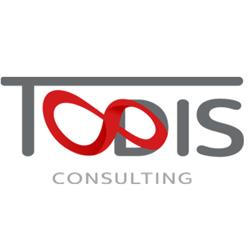 Todis Consulting Group. Sp. Z O.o., Warszawa godziny otwarcia