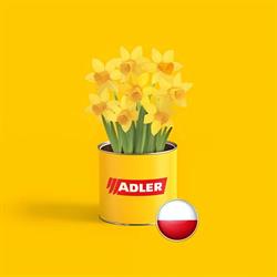Adler Polska Sp. Z O.o., Kraków godziny otwarcia