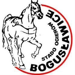 Stado Ogierów W Bogusławicach. Sp. Z O.o., Wolbórz godziny otwarcia
