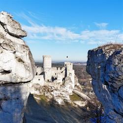 Zamek Sp. Z O.o., Podzamcze godziny otwarcia
