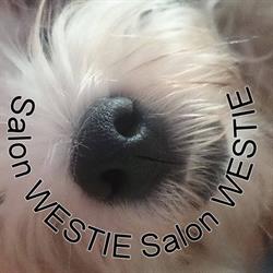 Westie. Salon Pielęgnacji Psów. Gieżek W., Żory godziny otwarcia