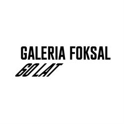 Foksal. Galeria, Warszawa godziny otwarcia