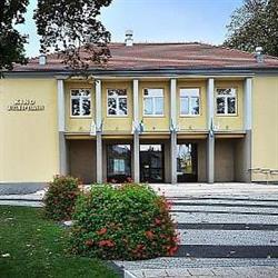 Wielkopolanin. Kino, Buk godziny otwarcia
