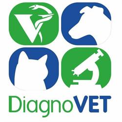 Diagnovet, Chorzów godziny otwarcia