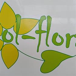 Ol-Flora. Import i hurtowa sprzedaż kwiatów ciętych, Wójtowo godziny otwarcia