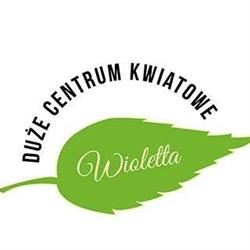 "wioletta" Duże Centrum Kwiatowe. J. Maślińska, Ostrów Wielkopolski godziny otwarcia