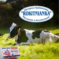 Rokitnianka. Okręgowa Spółdzielnia Mleczarska, Szczekociny godziny otwarcia