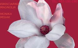 Magnolia. Kwiaciarnia, Nowe Skalmierzyce godziny otwarcia