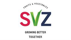 Svz Poland. Sp. Z O.o., Tomaszów Lubelski godziny otwarcia