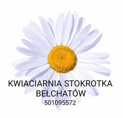 Stokrotka. Kwiaciarnia. Kabat L. Bełchatów, godziny otwarcia
