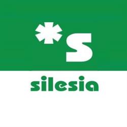Silesia Sklad budowlany Stacja paliw Myjnia, Żywiec godziny otwarcia