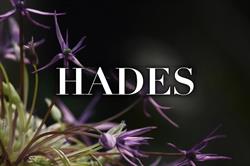 Hades. Zakład Usług Pogrzebowych, Śrem godziny otwarcia