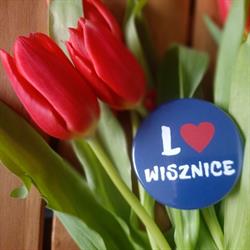 Liceum Ogólnokształcące im. W. Zawadzkiego, Wisznice godziny otwarcia