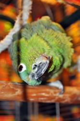"małe Zoo" Sklep Zoologiczny, Gdańsk godziny otwarcia