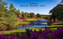 Agropol. Pphu, Nowa Sól godziny otwarcia
