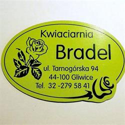 Bradel Barbara. Kwiaciarnia, Gliwice godziny otwarcia