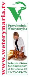 Przychodnia Weterynaryjna. Lek. Wet. Andrzej Walasek, Jelenia Góra godziny otwarcia