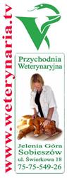 Przychodnia Weterynaryjna. Lek. Wet. Andrzej Walasek, Jelenia Góra godziny otwarcia