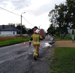 Ochotnicza Straż Pożarna, Sadów godziny otwarcia