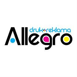Druk Allegro, Kamyk godziny otwarcia