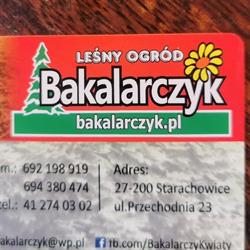 Leśny Ogród. Kwiaty balkonowe, rabatowe, krzewy ozdobne, Starachowice godziny otwarcia