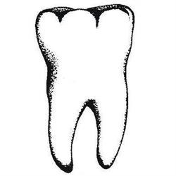 Nova Dent. Sp. Z O.o. Pracownia Protetyczno - Dentystyczna, Szczecin - godziny otwarcia