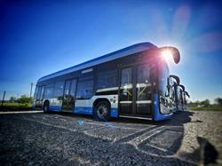 Chełmskie Linie Autobusowe. Sp. Z O.o., godziny otwarcia
