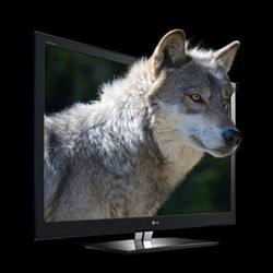 Lupus Multimedia, Sopot godziny otwarcia