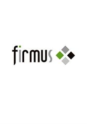 Doradca podatkowy Bielsko - biuro rachunkowe Bielsko - Firmus, Bielsko-Biała godziny otwarcia
