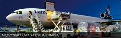 Speed Cargo Service Sp.j. Agencja Celna, Gdańsk godziny otwarcia