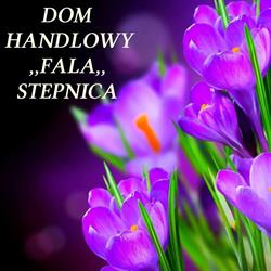 Fala. Dom handlowy, Stepnica godziny otwarcia