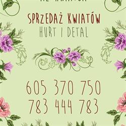 Al-Kwiaton. Produkcja i sprzedaż kwiatów. Ogrodnictwo. Kowalscy A.J., Polanica-Zdrój godziny otwarcia