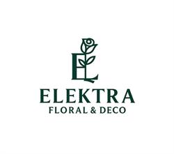 Elektra-Light. S.j. Hurtownia kwiatów, zniczy i artykułów dekoracyjnych, Gorzów Wielkopolski - godziny otwarcia