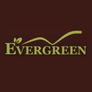 "evergreen", Rybnik godziny otwarcia