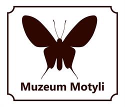 Muzeum Motyli, Władysławowo godziny otwarcia