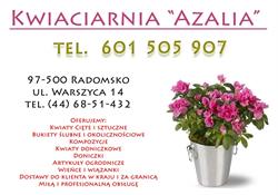 Azalia. Kwiaciarnia, Radomsko godziny otwarcia
