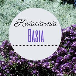 Basia. Kwiaciarnia. Paszylk B., Skarszewy godziny otwarcia