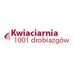 Kwiaciarnia 1001 drobiazgów, Nowy Żmigród godziny otwarcia
