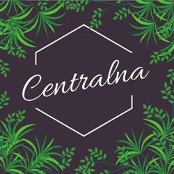 Centralna. Restauracja, Środa Śląska godziny otwarcia