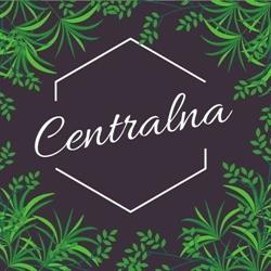 Centralna. Restauracja, Środa Śląska godziny otwarcia