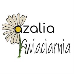 Azalia. Kwiaciarnia. Pielach M., Legionowo godziny otwarcia